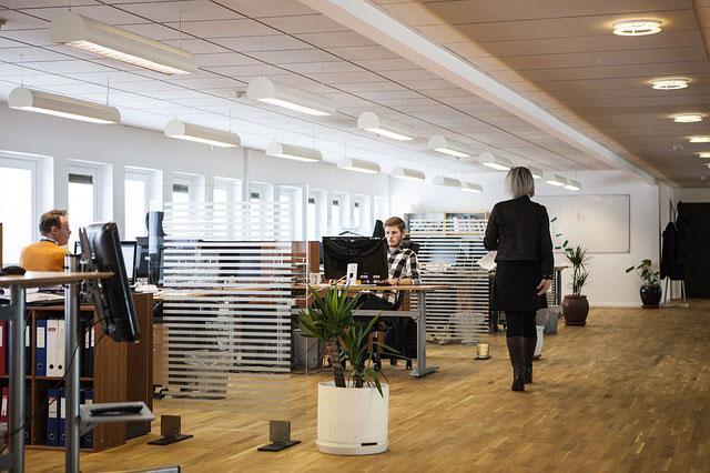 HOG OFFICE CONDUCIVE FOR PRODUCTION