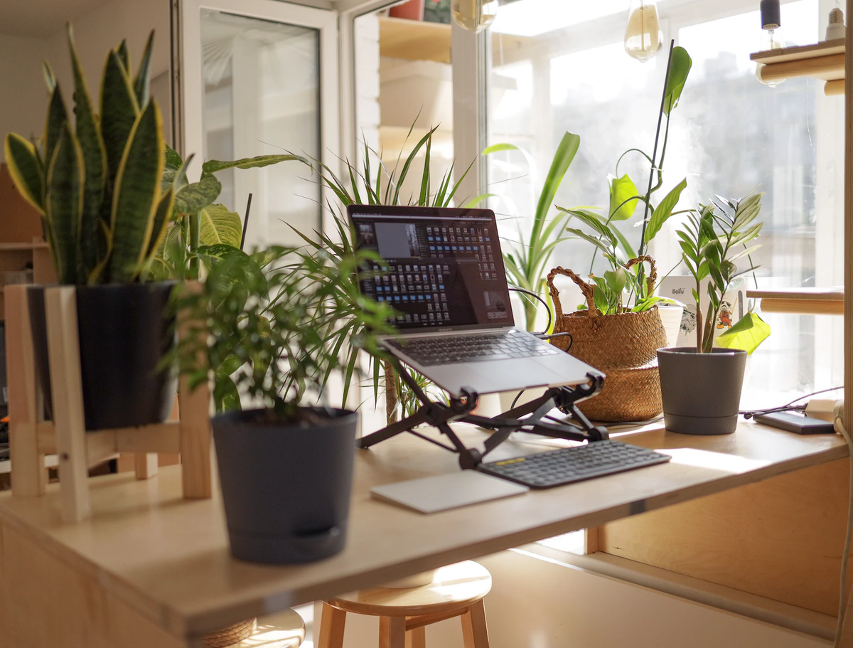 HOG ideas on how employees can improve their mental well-being when working from home