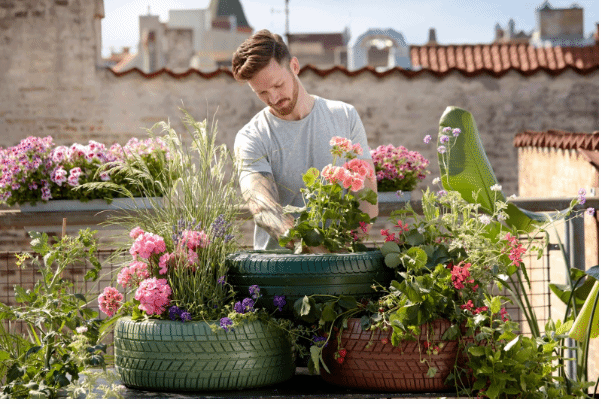 What to Buy for Your Garden: The Most Helpful Equipment