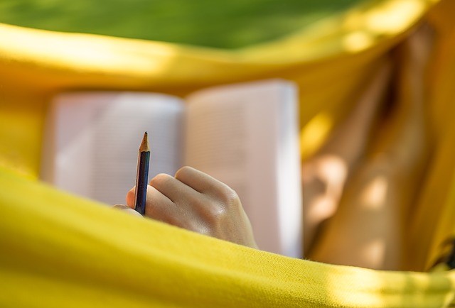 HOG on how to choose the best hammock for garden