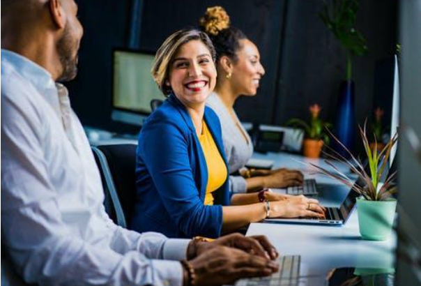 HOG on How to effectively increase sales in business