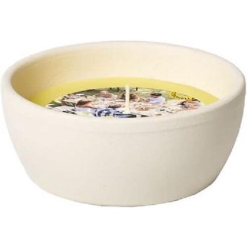 Spaas Lemon-Breeze Citronella Candle in Terracotta Pot - 10oz
