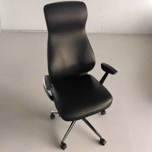 Director Executive Chair-SS-4520 @HOG - Home Office Garden Online Marketplace