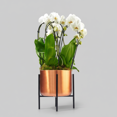 Gold/Copper Planter Set (Pot Only) @HOG - Home Office Garden Online Marketplace