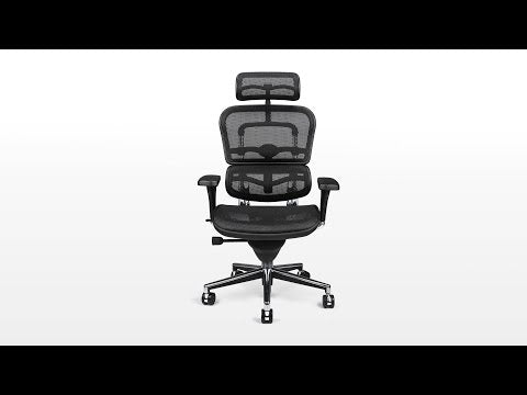 Ergohuman Classic Comfort Mesh Chair @HOG - Home Office Garden Online Marketplace