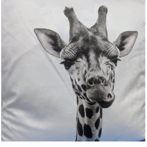 Tesco Giraffe Single Sided Print Throw Pillow Set Of 2 Home Office Garden | HOG-HomeOfficeGarden | online marketplace