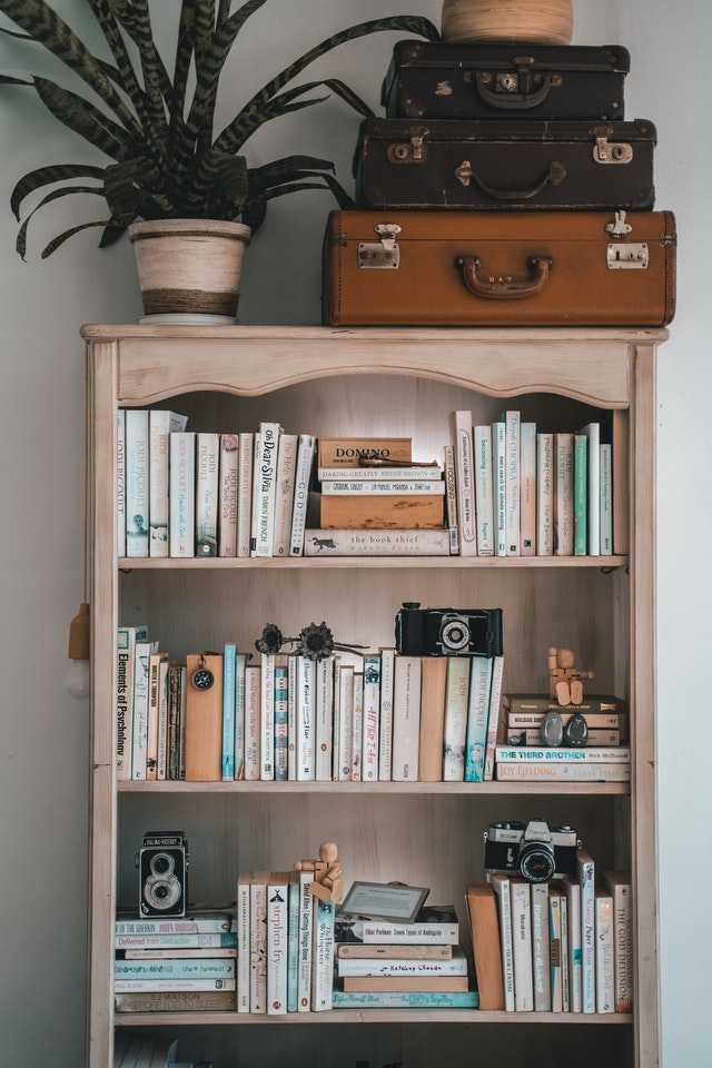HOG idea on cool things to collect and display them at home