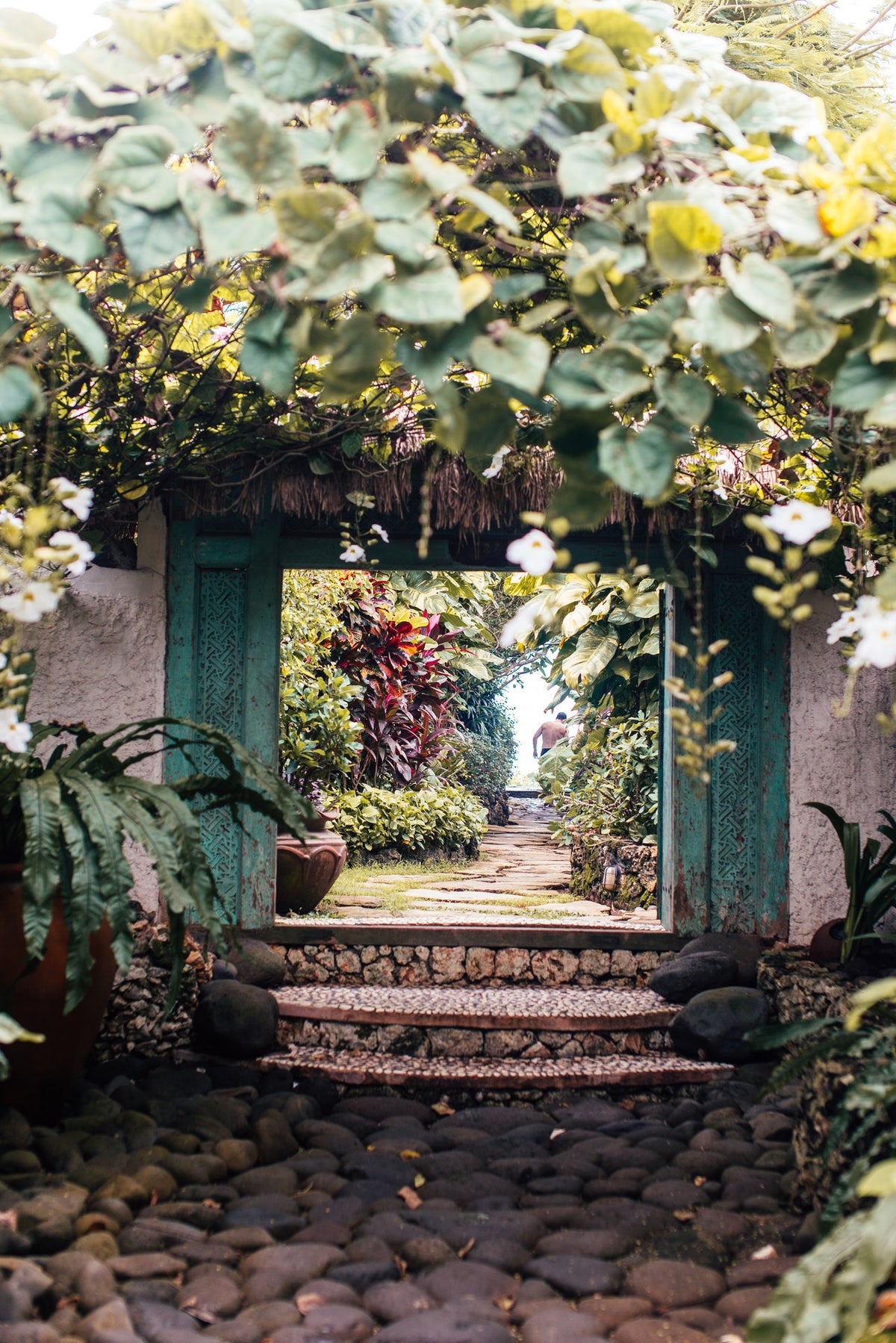 HOG tips to make garden pop