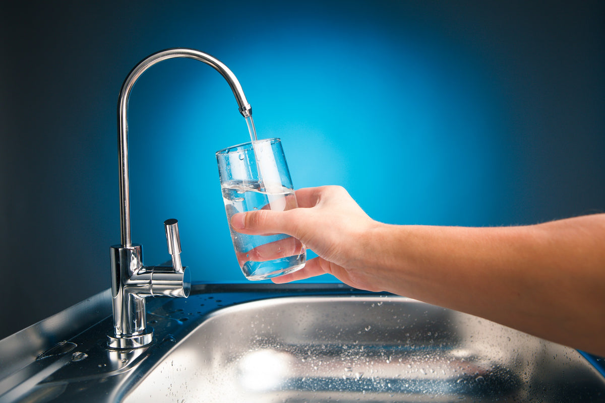 HOG water filtration system