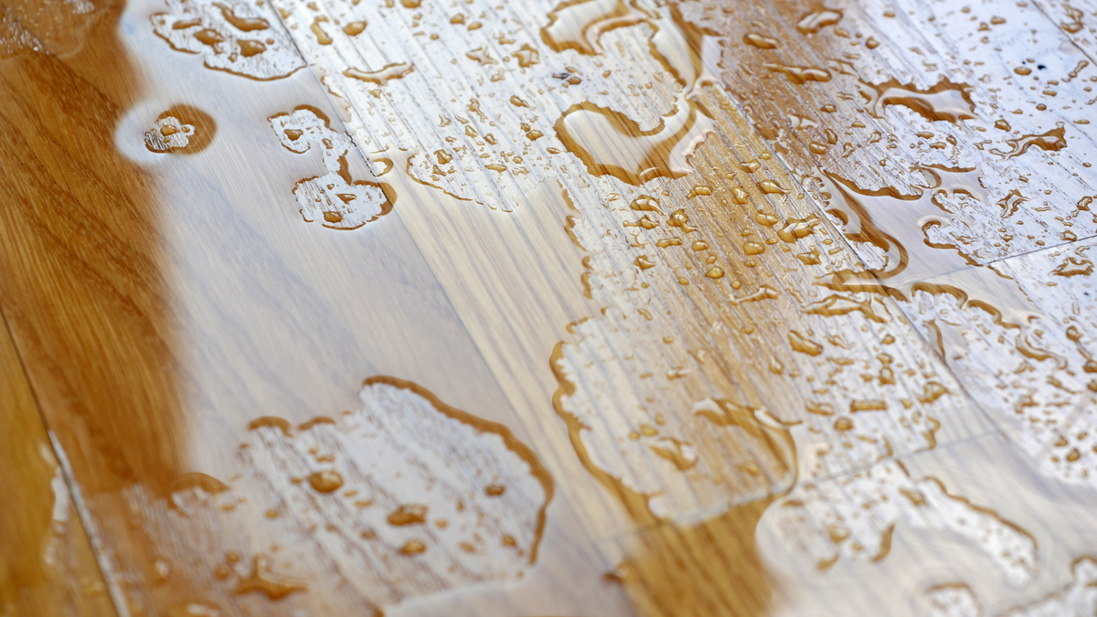 How Long Does Water Damage Take to Dry? (2026 Homeowner's Guide)