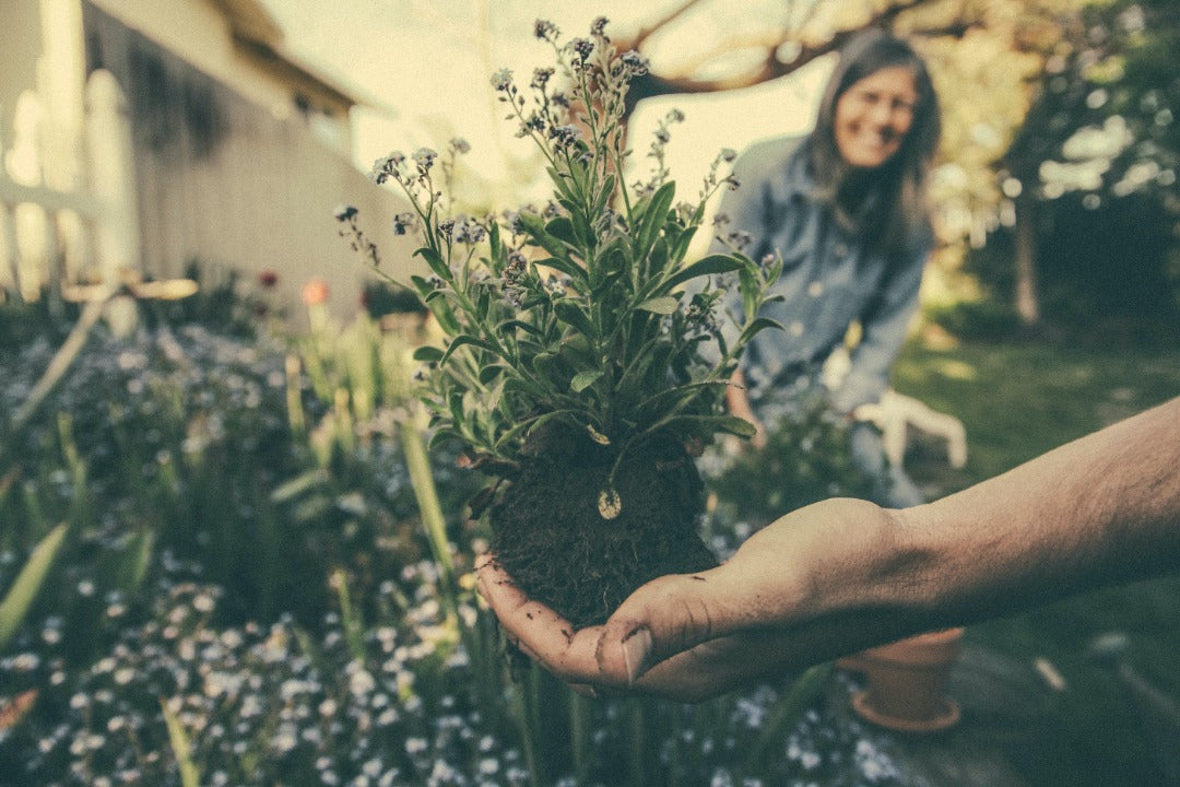 HOG tips on how gardening helps the environment