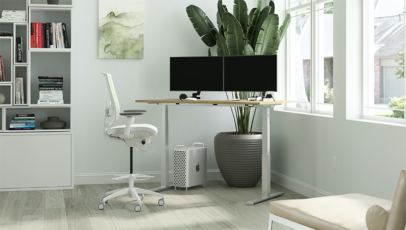 HOG setting up ergonomic workspace