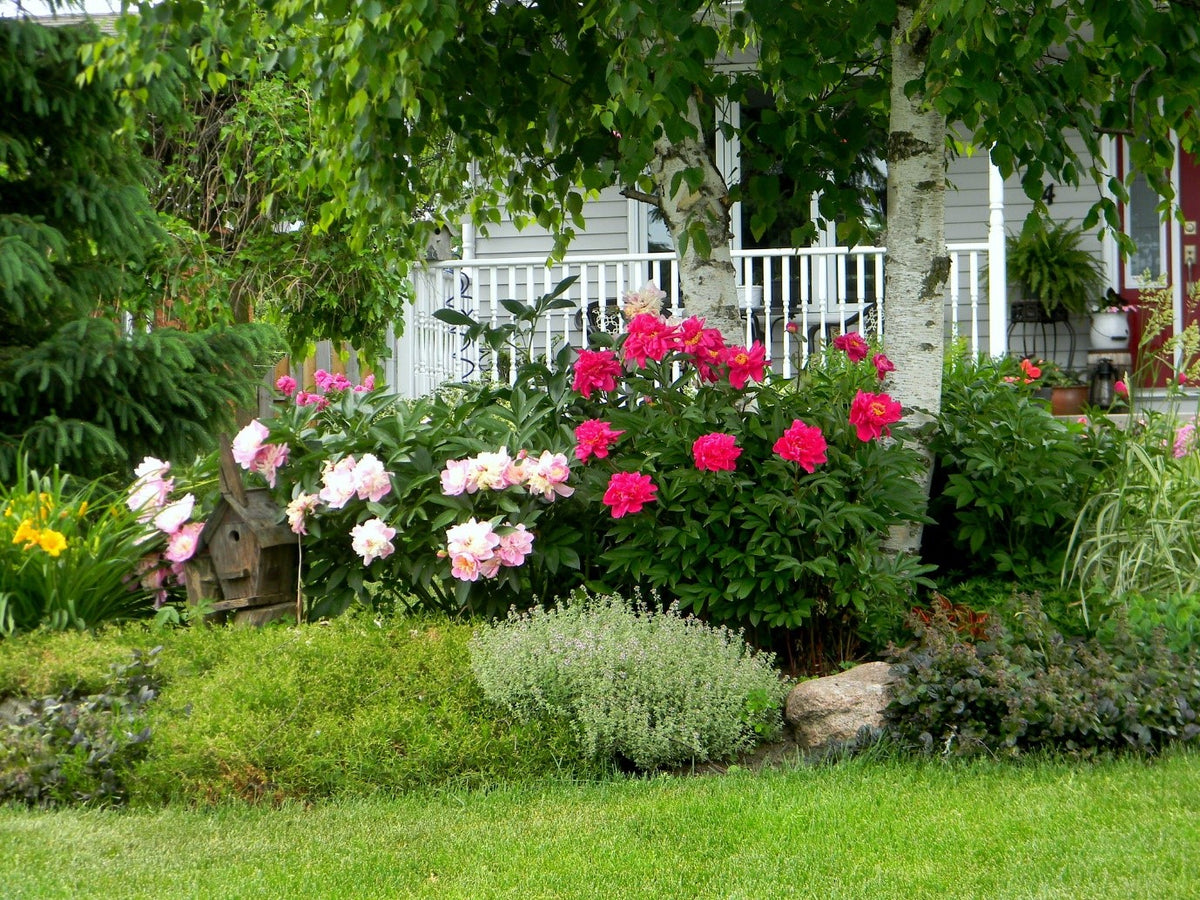 HOG 5 gardening tips for creating a beautiful garden