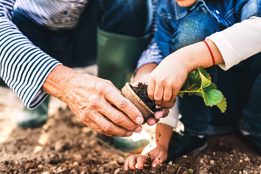 HOG article on how to teach your kids and art of the plant care