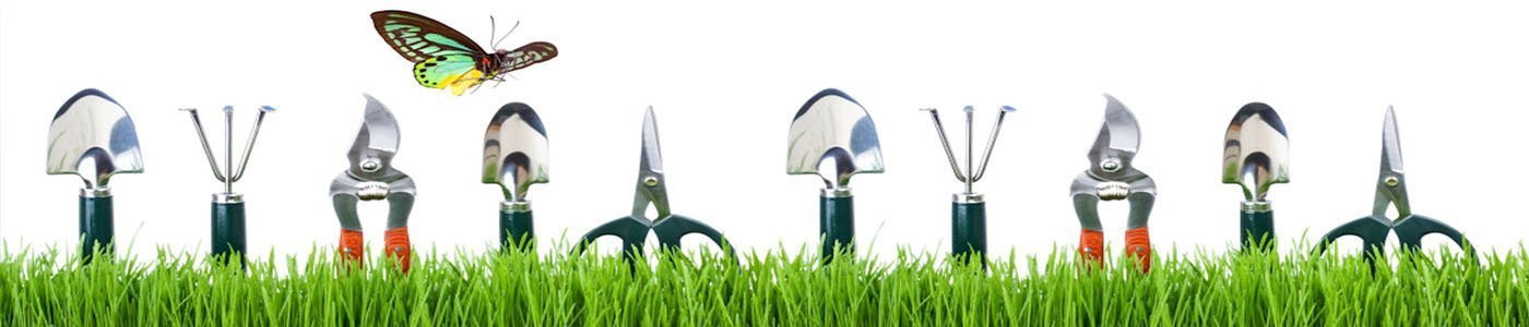 Lawn & Garden