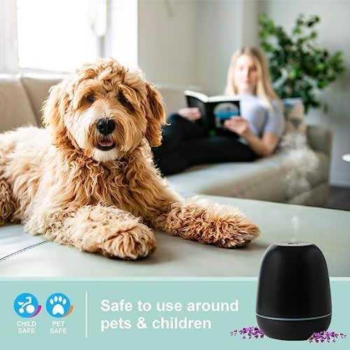 SpaRoom Mini Majesto Essential Oil Diffuser