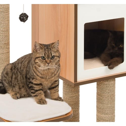 Vesper Cat Tree - Scratching Post with Condo - Walnut Furniture