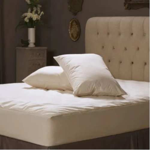 Allerease 100% Organically Grown Cotton Bed Pillow, Jumbo, White- Allergy Relief, 2-pack @HOG - Home, Office, Garden, Online Marketplace

