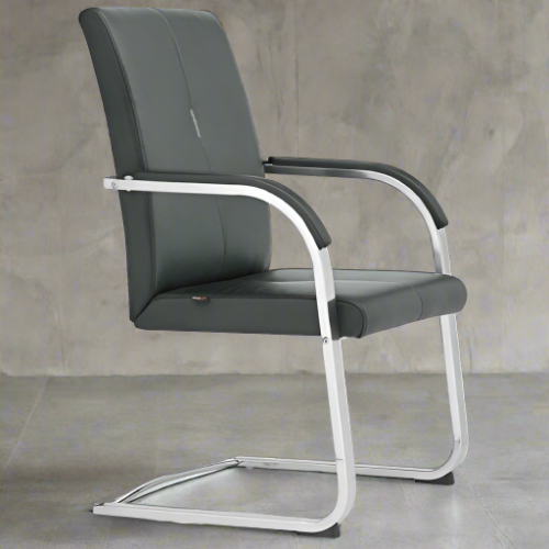 Polymath Leather Visitor Chair @HOG - Home Office Garden Online Marketplace