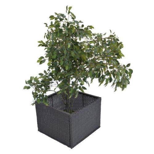 Straight Rattan Planter Box. @HOG - Home Office Garden Online Marketplace
