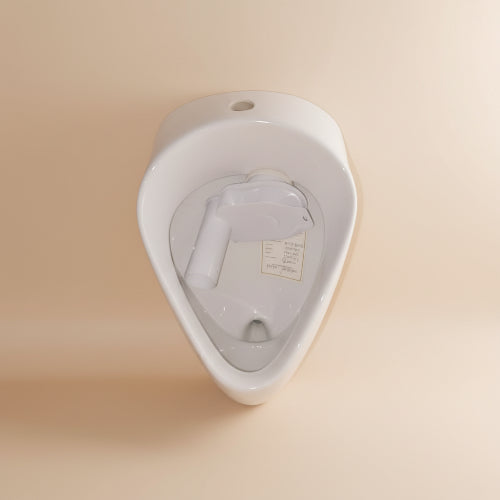 Pozzi-Ginori Urinal
