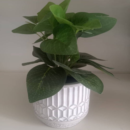 Artificial Leaves in Cement Pot @HOG - Home Office Garden Online Marketplace