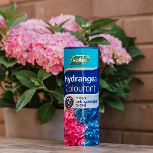 Westland Hydrangea Colourant. @HOG - Home Office Garden Online Marketplace