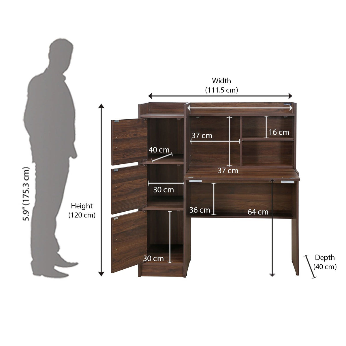 Study Table (Walnut) Home Office Garden | HOG-HomeOfficeGarden | online marketplace